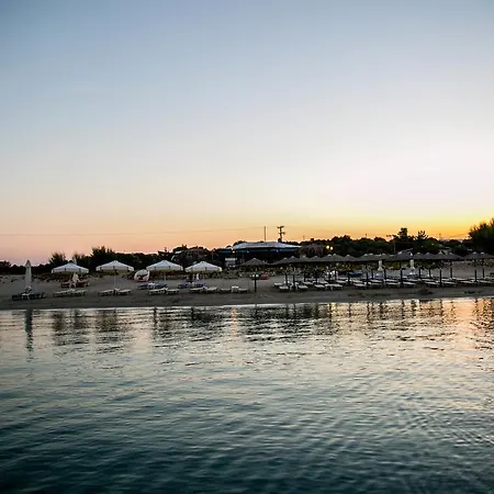 فيلة Chara أمولياني