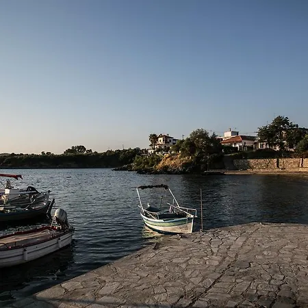 Chara فيلة أمولياني