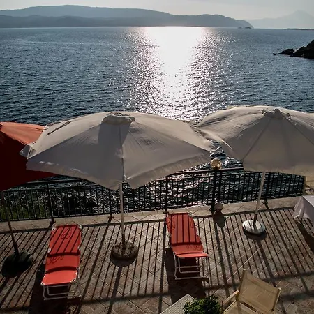 فيلة Chara أمولياني