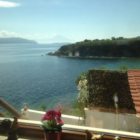 Chara * أمولياني