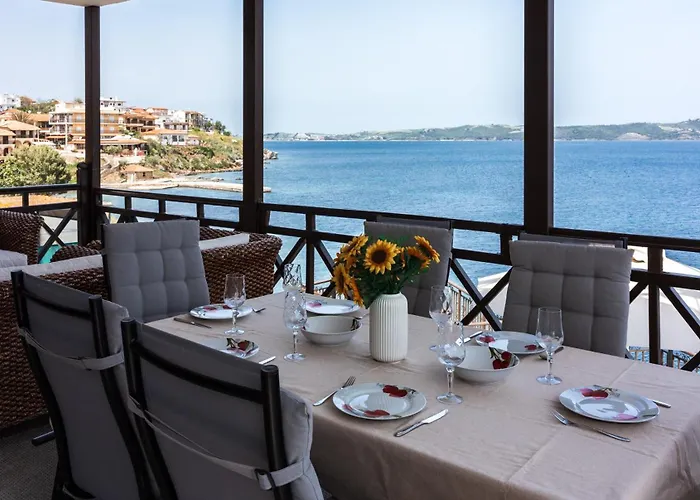 Chara 阿莫利亚尼岛