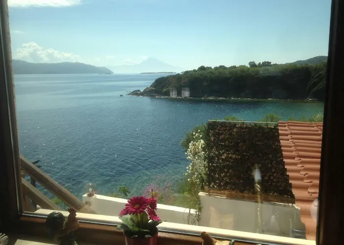 Chara * 阿莫利亚尼岛