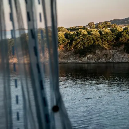 Chara * アムリアニ