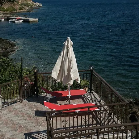 Chara * アムリアニ