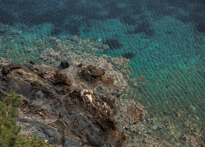 Βίλα Chara Αμμουλιανή